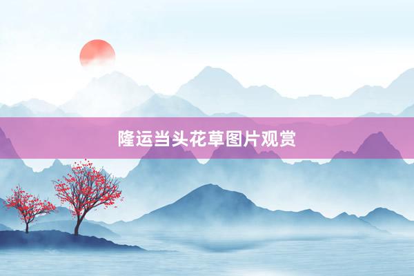 隆运当头花草图片观赏