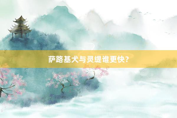 萨路基犬与灵缇谁更快？